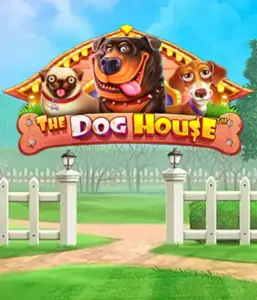 From Pragmatic Play comes The Dog House Slot, offering a delightful journey into the world of playful pups. Enjoy features including free spins, designed for providing entertaining gameplay. Ideal for those who enjoy a lighthearted atmosphere alongside lucrative rewards.